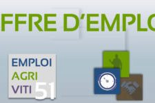 Offre d'emploi